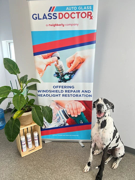 Nova welcomes you to Glass Doctor Auto of Southampton!