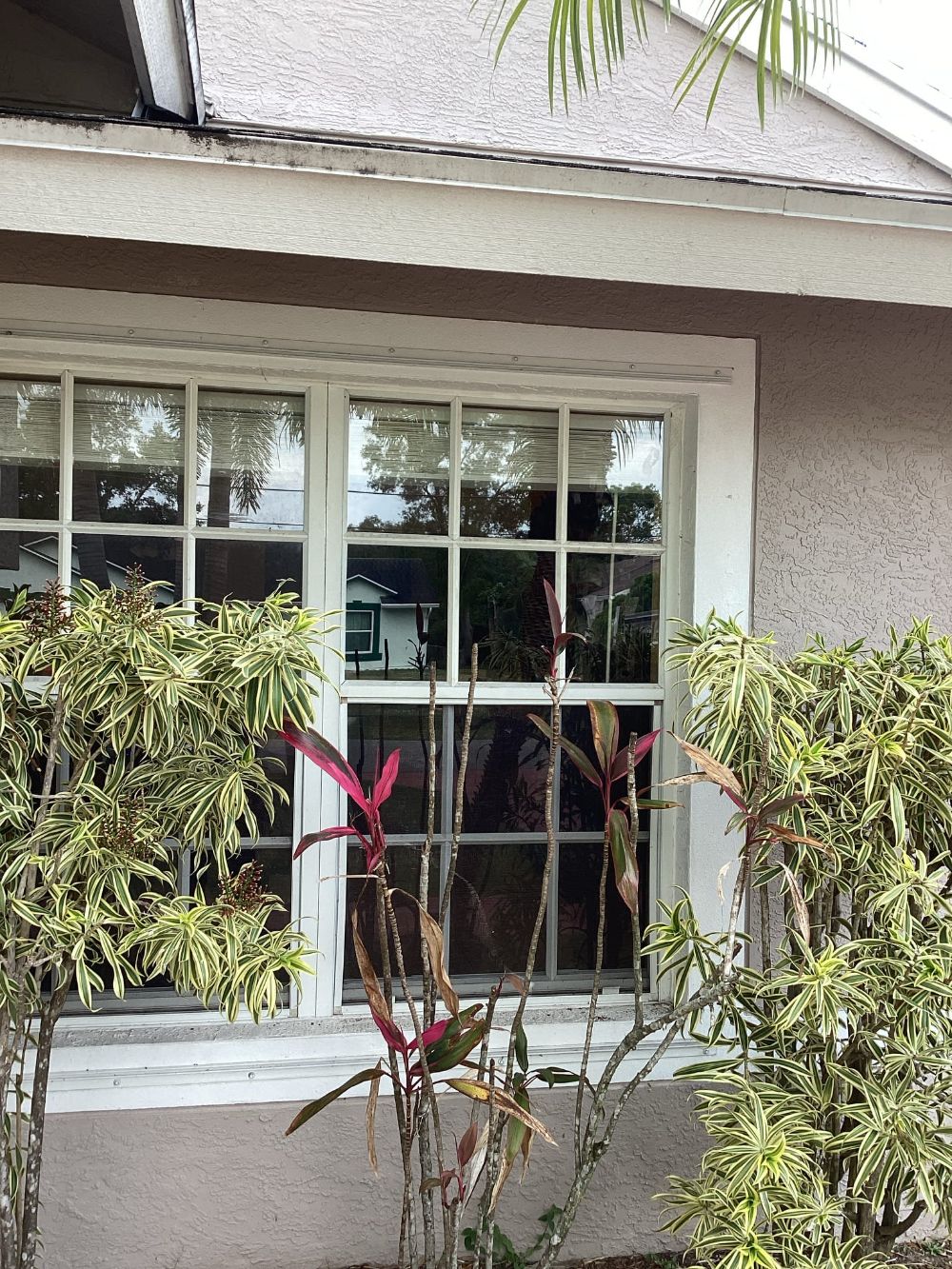 Windows replament and repair