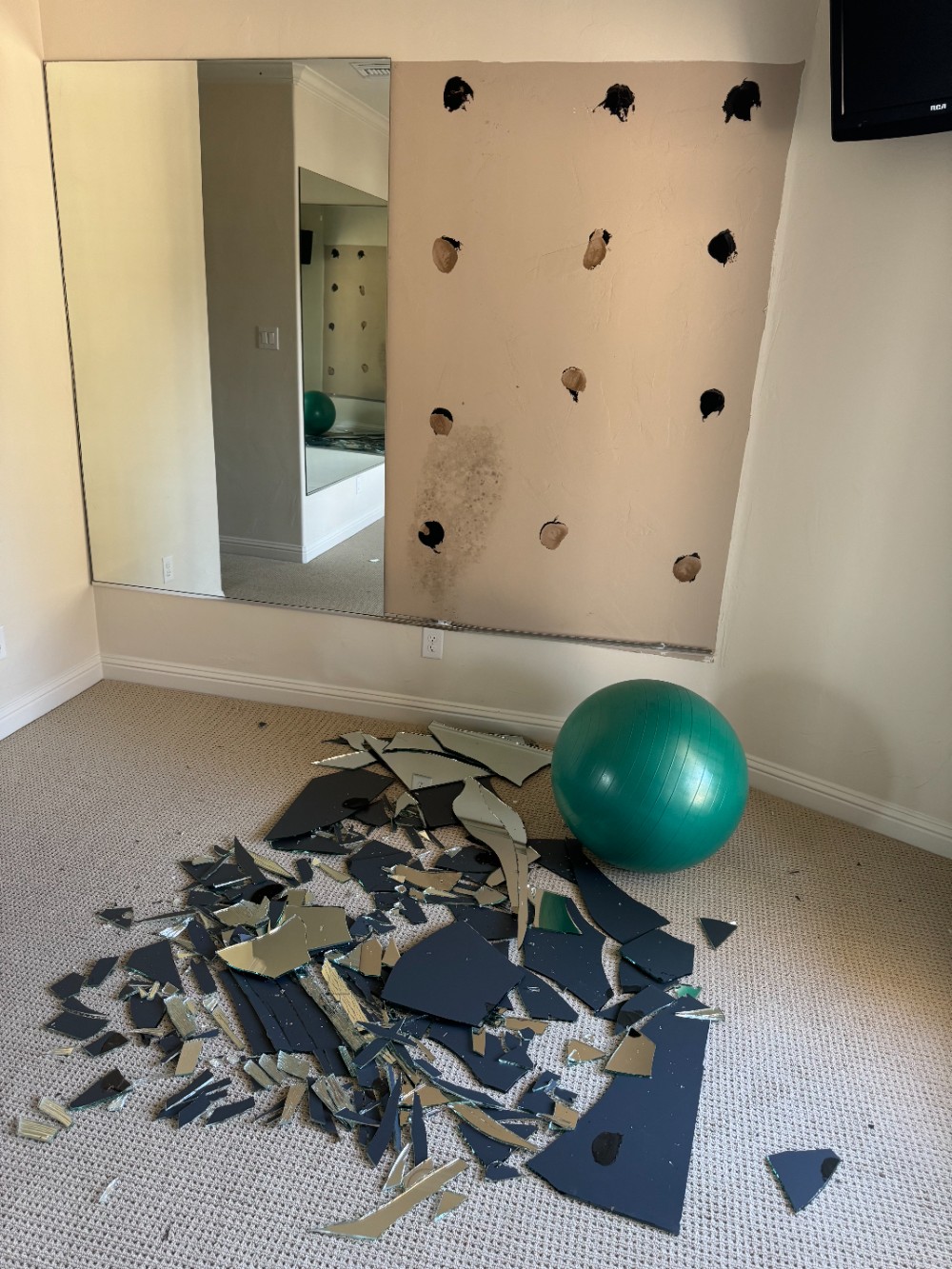Mirror Replacement/Installation