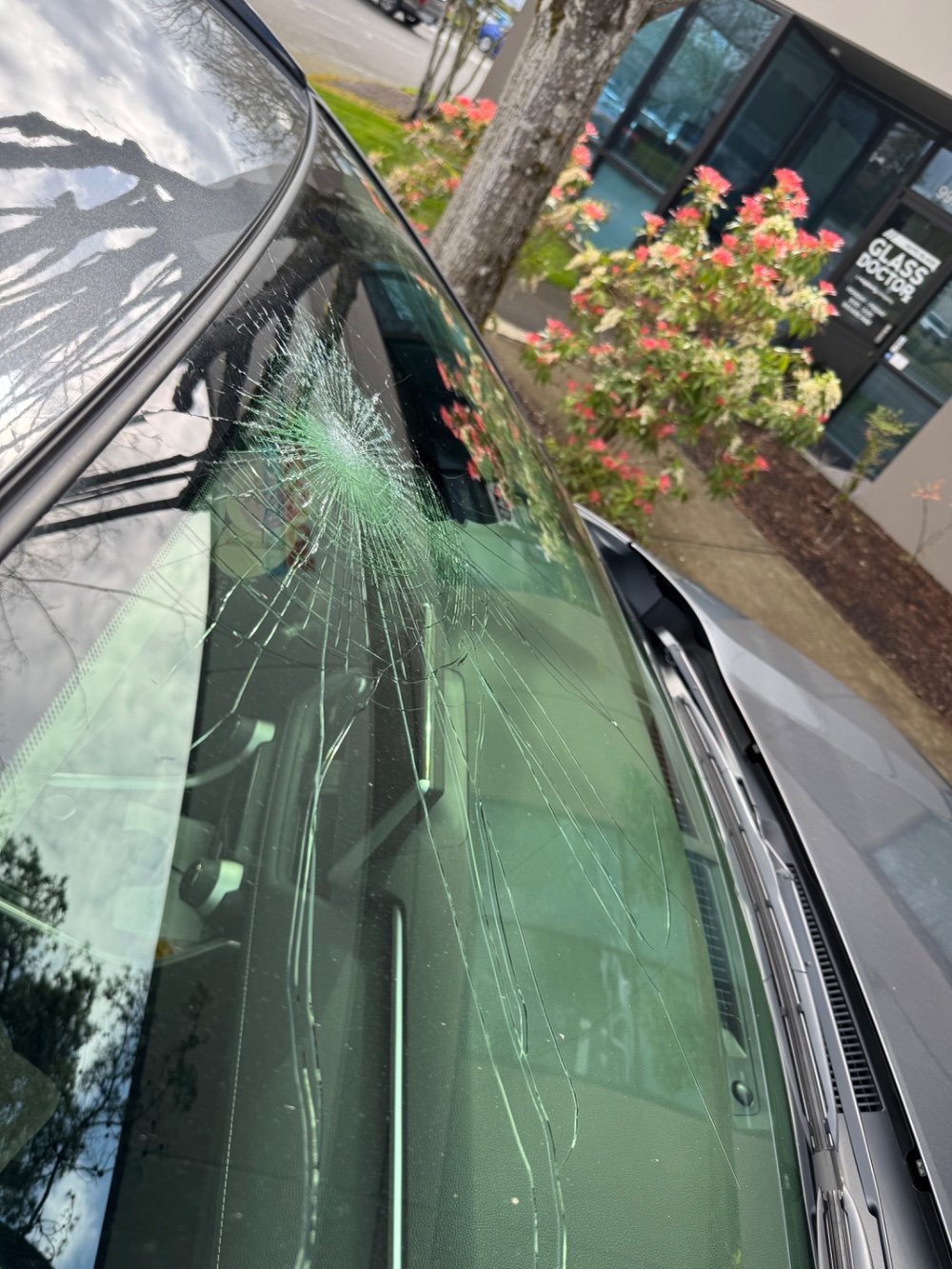 Windshield Replacement