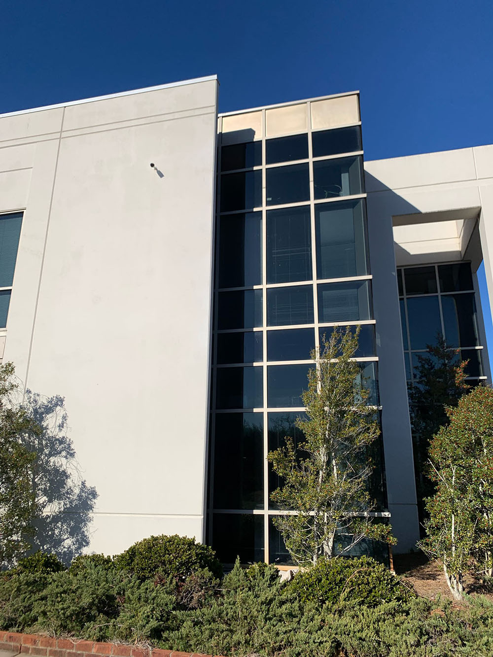 Window Replacement