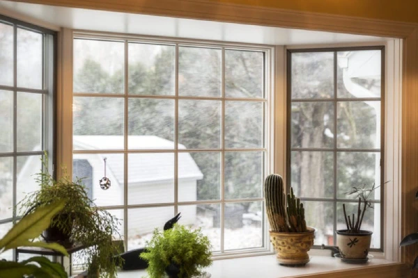A window with a potted plant on the sill.