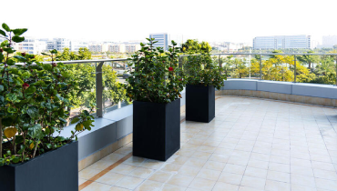 A balcony adorned with various plants in black pots, creating a vibrant and inviting outdoor space.