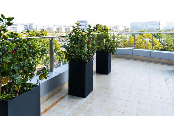 A balcony adorned with various plants in black pots, creating a vibrant and inviting outdoor space.