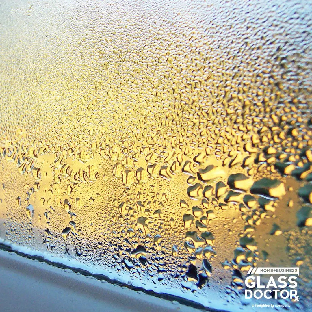 window condensation between glass panes