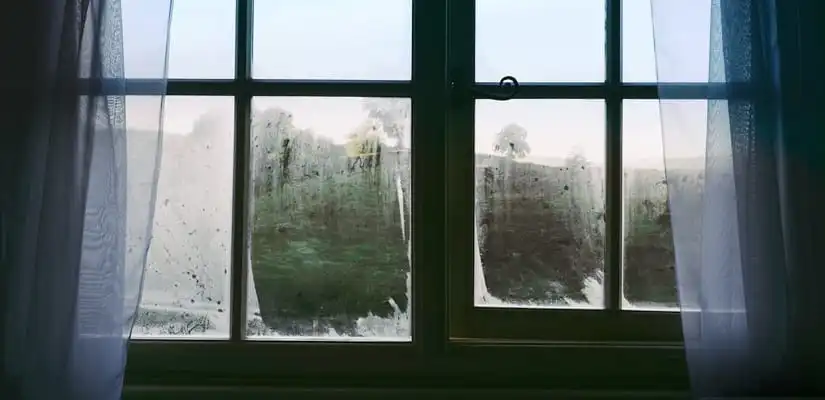 windows and climates